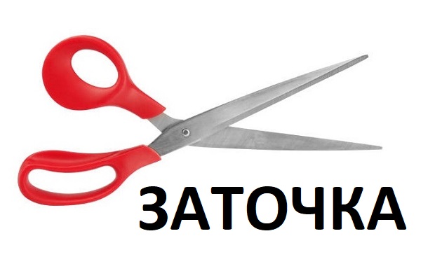Here are scissors for various purposes.